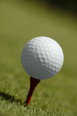 Golf ball on tee 