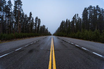 Fototapeta na wymiar The Long Road at Yellowstone
