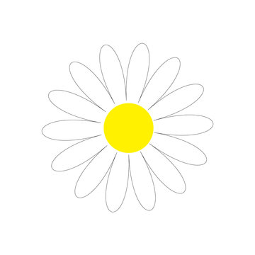 Daisy chamomile. Cute flower plant collection. Love card. Camomile line icon Yellow centre. Growing concept. Flat design. White background. Isolated.