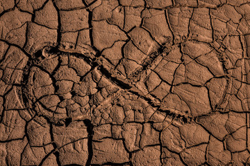 Sonsuzluk İşareti Çatlak Toprak