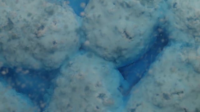 Pill caplets dissolve in water, timelapse