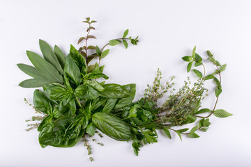 Composition of herbs (basil, mint, thyme, sage, parsley) isolated on white background, top view as package design element