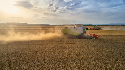 Aerial view on  combine harvester gathers the wheat at sunset. Harvesting grain field, crop season. Side view on harvester in the partly harvested field against sunset sky, Europe.