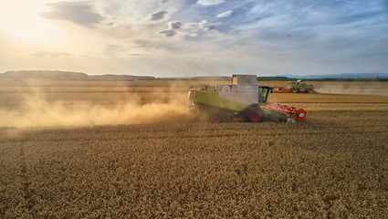 Fototapeta premium Aerial view on combine harvester gathers the wheat at sunset. Harvesting grain field, crop season. Side view on harvester in the partly harvested field against sunset sky, Europe.