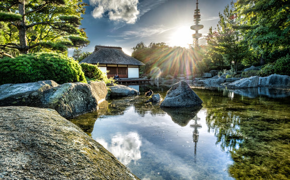 Japanese garden in the city at sunset