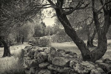 Villaggio dell'età del bronzo in Sardegna