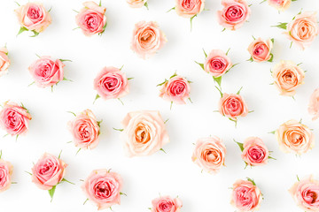 Floral pattern made of pink roses on white background