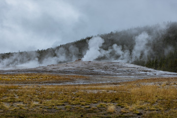 Fototapeta na wymiar The Valley of Geysers at Yellowstone