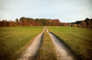 Fototapeta na wymiar Feldweg zum Waldrand, Herbstlandschaft