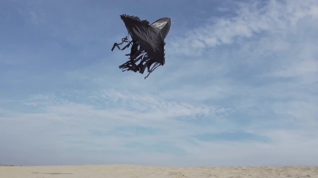Ominous Black Kite Floats Against Sky