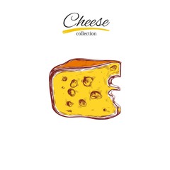 Cheese collection. Vector Hand drawn illustration of cheese types . Colorful. Isolated on white