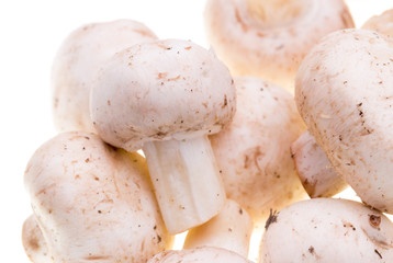 Mushrooms champignons on a white background