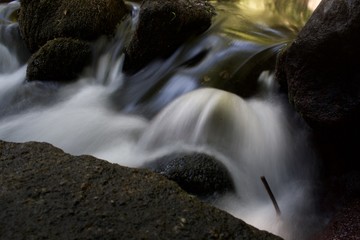 nature wet