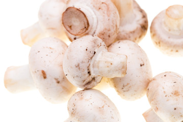Mushrooms champignons on a white background