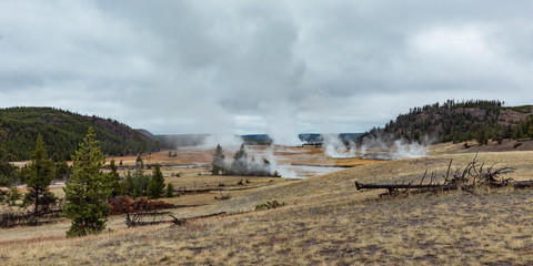 Fototapeta na wymiar A Steamy Yellowstone
