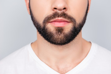 Close up cropped photo of a styling of a brunet`s guy beard, isolated on pure light blue...