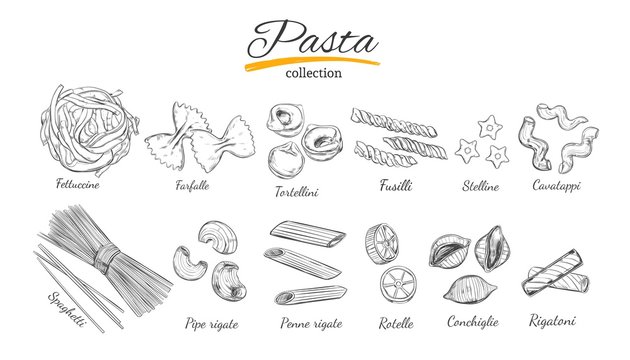 Italian Pasta set. Different types of pasta. Vector hand drawn illustration. Isolated objects on white. Sketch style