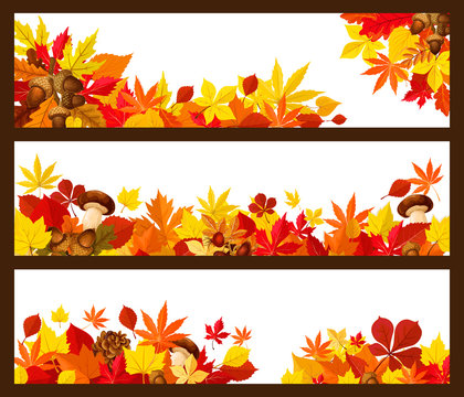 Autumn leaf banner border for fall season design