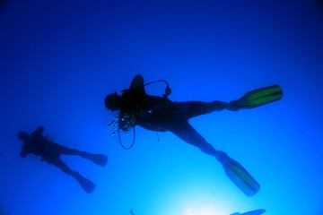 Silhouette of Two Divers