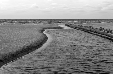 Baltic sea shore in Palanga, Lithuania. in black and white