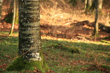 Biosphärengebiet Schwabenland