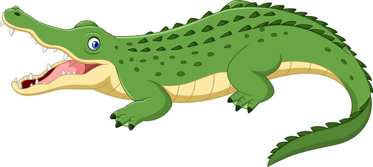 Obraz premium Krokodyl kreskówka na białym tle