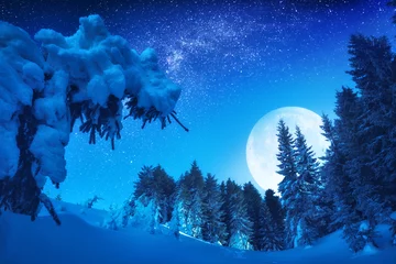  Wonderful rising of full moon in a winter valley © Bashkatov
