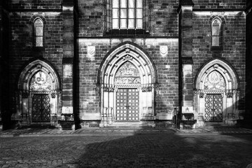 Fototapeta na wymiar Gothic style entrance portal of Basilica of Saint Peter and Paul in Vysehrad, Prague, Czech Republic. Black and white image