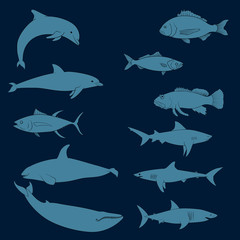 fish set isolated on white