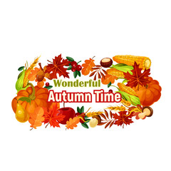 Autumn harvest poster of vector pumpkin, corn leaf