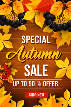 Autumn sale discount vector poster