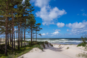 Baltic sea shore in Latvia - obrazy, fototapety, plakaty