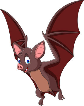 Cartoon bat isolated on white background