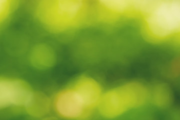 Fototapeta premium Green-yellow-white abstract background.