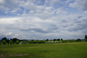 芝生の公園　広場　青空　戸外　