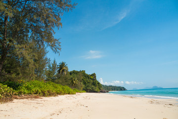 Plakat Tropical beach