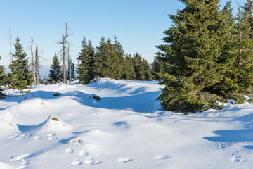 Fototapeta na wymiar Ruhige Winterlandschaft
