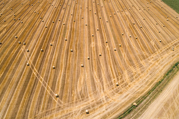 Golden Hay Bales During Harvest Season