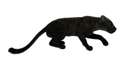 3D Rendering Black Panther on White