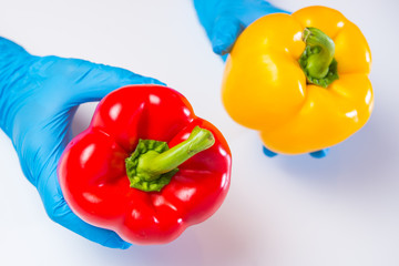 Research of various vegetables in the laboratory on GM Os and harmful substances