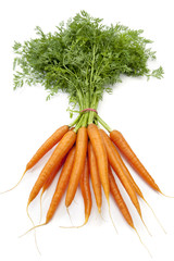 Bündel frische Karotten