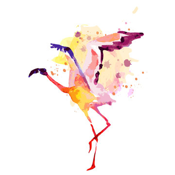 Beautiful watercolor flamingos, isolaned on a white