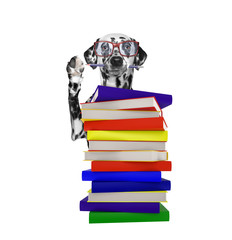 Intelligent dalmatian dog with books isolated on white - obrazy, fototapety, plakaty