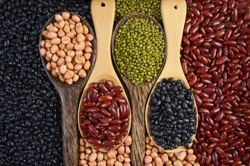 Foto op Canvas Seeds beans(Black Bean, Red Bean, Peanut and Mung Bean) useful for health in wood spoons on grey background. © Sakrapee Nopparat