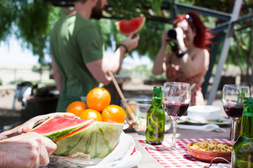 Friends enjoying picnic day

