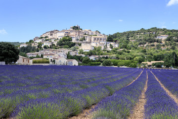 Fototapeta na wymiar Lavender field and Simiane la rotonde village in Provence France