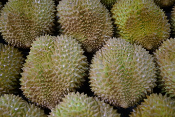 Durian. Fruit. Asia fruit. 