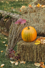 Single large classic orange pumpkin on haystack with autumn foliage