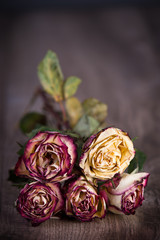 Obraz premium Welke, getrocknete Rosen