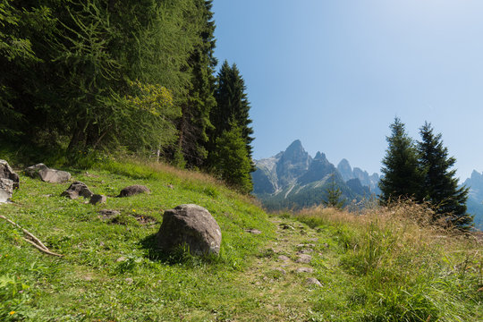 Sentiero di montagna tra i pini